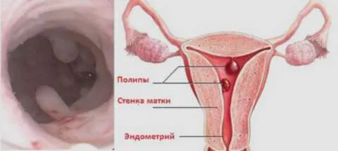гинеколог киев